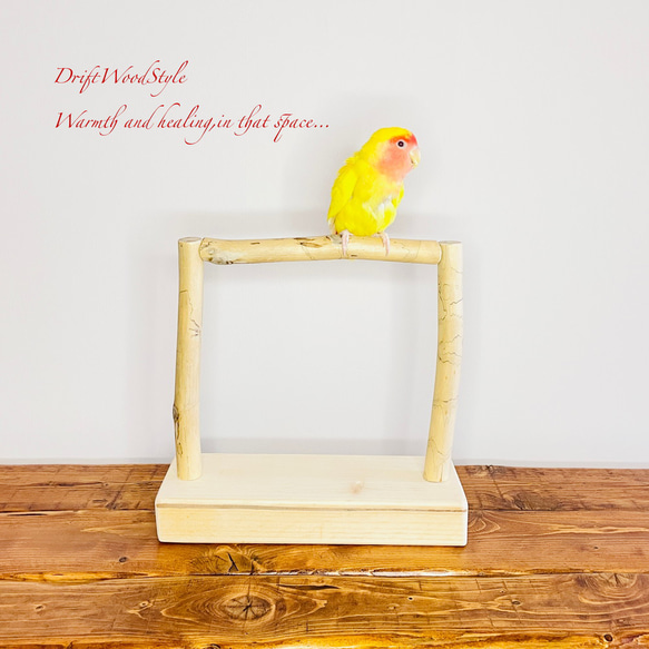 流木インテリア  小～大型インコが止まれる天然流木の小鳥の止まり木 スタンドタイプ インコ オウム 鳥 自然木 N17 1枚目の画像