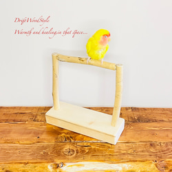 流木インテリア  小～大型インコが止まれる天然流木の小鳥の止まり木 スタンドタイプ インコ オウム 鳥 自然木 N17 4枚目の画像