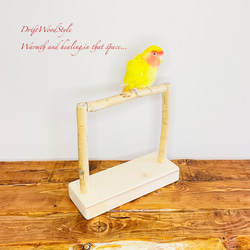 流木インテリア  小～大型インコが止まれる天然流木の小鳥の止まり木 スタンドタイプ インコ オウム 鳥 自然木 N17 3枚目の画像