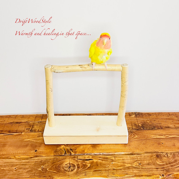 流木インテリア  小～大型インコが止まれる天然流木の小鳥の止まり木 スタンドタイプ インコ オウム 鳥 自然木 N17 2枚目の画像