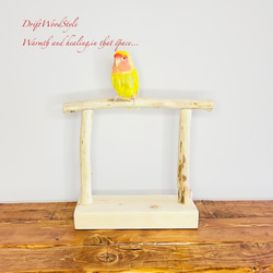 流木インテリア  小～大型インコが止まれる天然流木の小鳥の止まり木 スタンドタイプ インコ オウム 鳥 自然木 N18 1枚目の画像