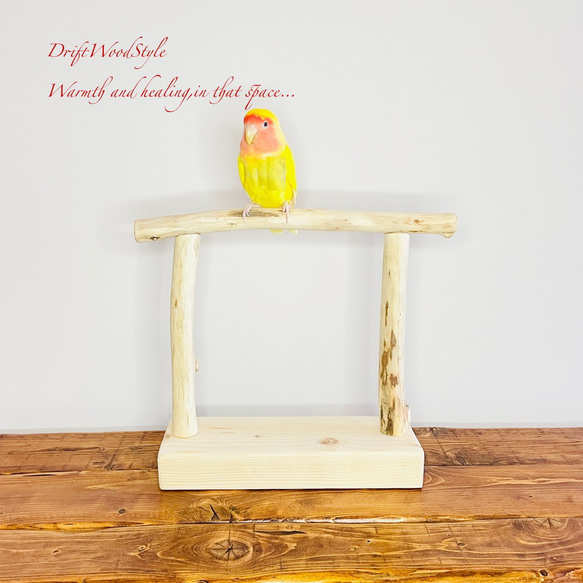 流木インテリア  小～大型インコが止まれる天然流木の小鳥の止まり木 スタンドタイプ インコ オウム 鳥 自然木 N18 1枚目の画像