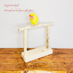 流木インテリア  小～大型インコが止まれる天然流木の小鳥の止まり木 スタンドタイプ インコ オウム 鳥 自然木 N18 3枚目の画像