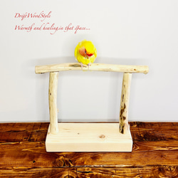 流木インテリア  小～大型インコが止まれる天然流木の小鳥の止まり木 スタンドタイプ インコ オウム 鳥 自然木 N18 2枚目の画像