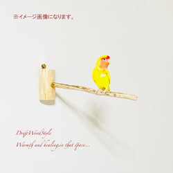 流木インテリア 40ｃｍの流木枝を使った小鳥の止まり木 インコの壁掛けパーチ ピン止めタイプ ビス止め変更可 N7 2枚目の画像