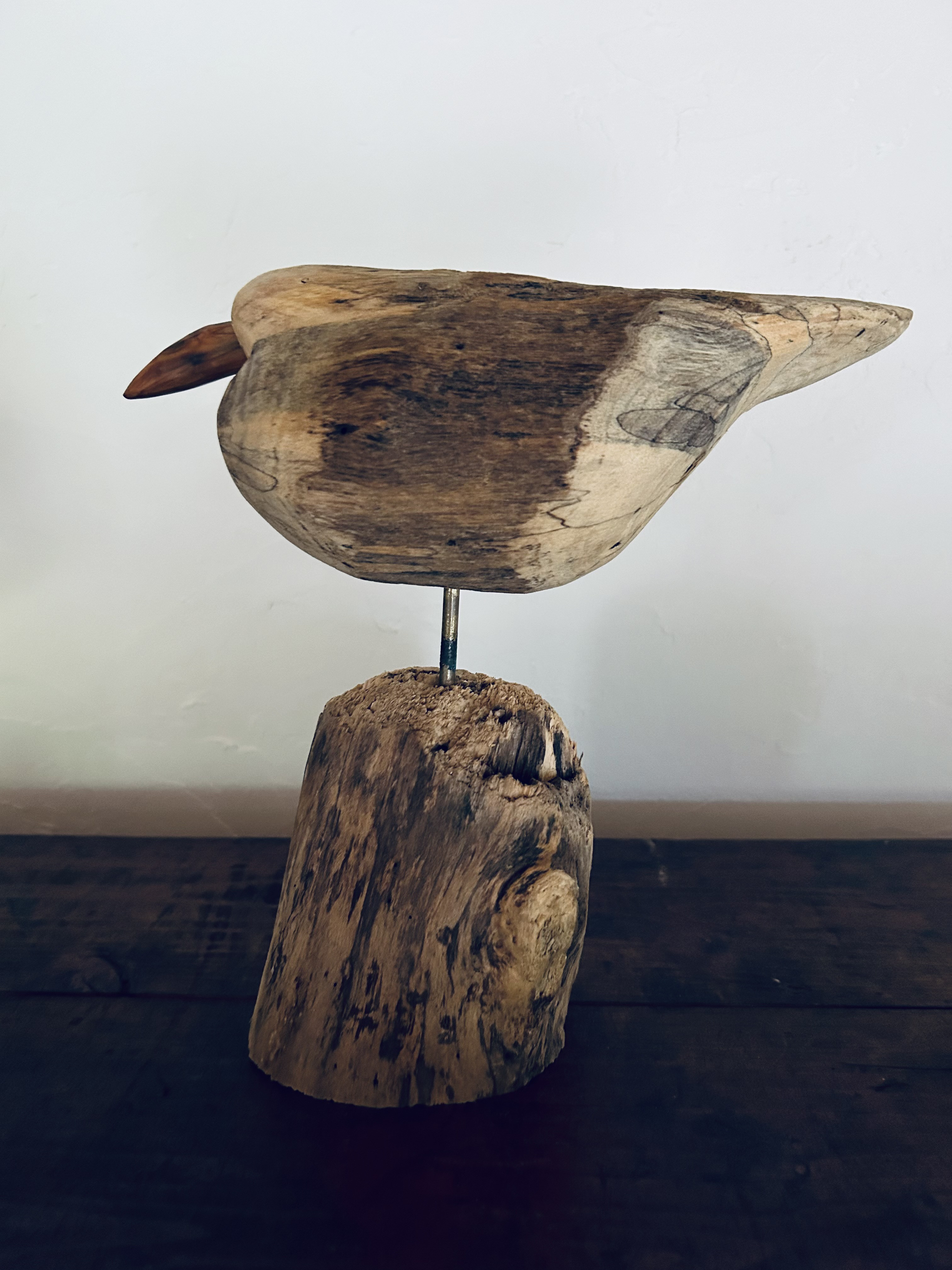 倒木・流木の鳥　wataridori  No.11