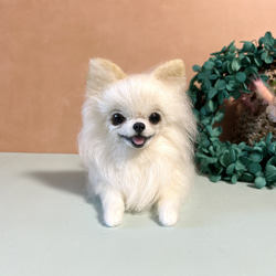 羊毛フェルト にこにこポメラニアン 送料無料 クリーム 羊毛フェルト