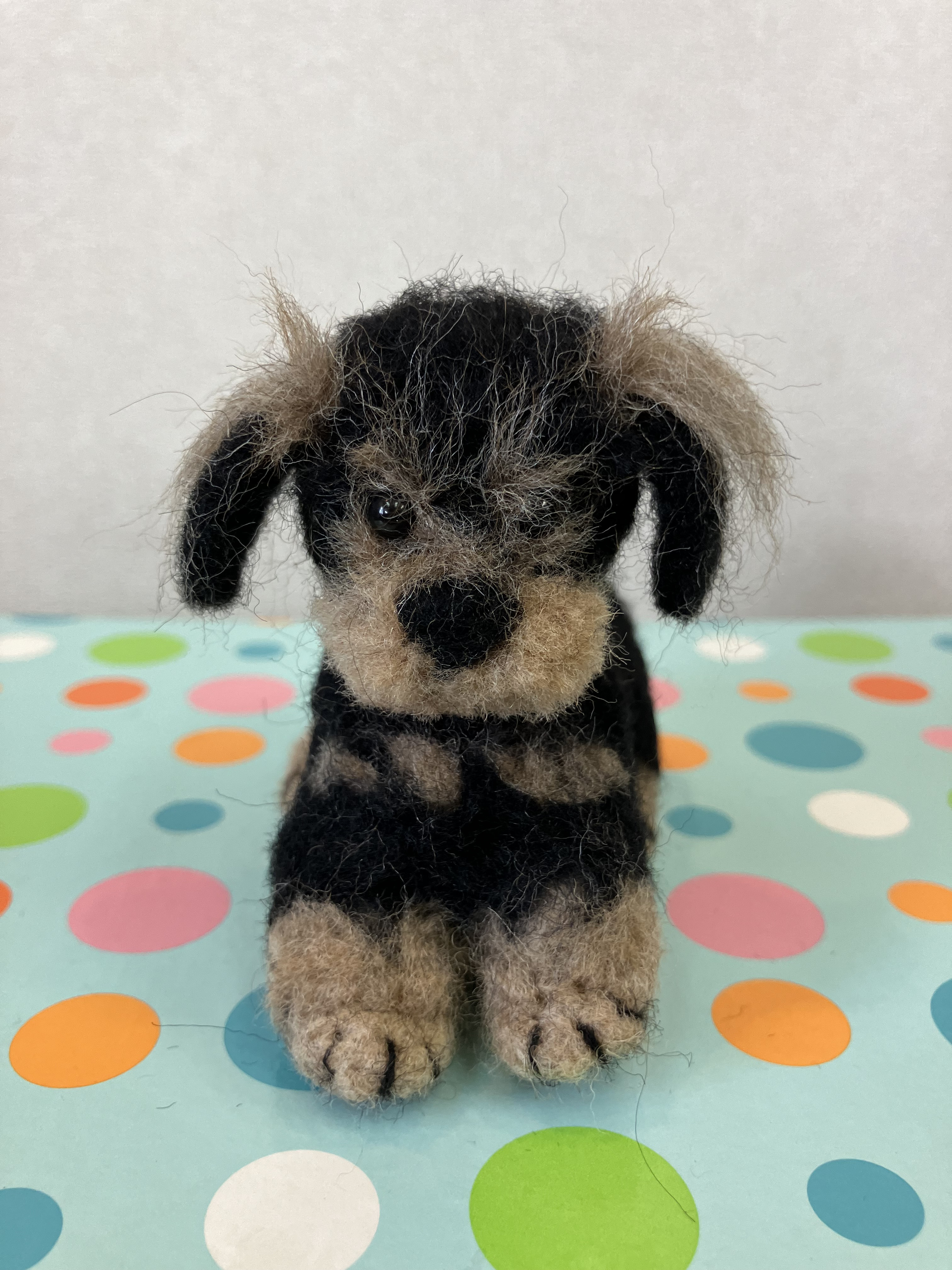 いとしのダックス