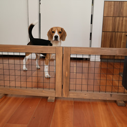 セット販売価格※ 天然木目のウインドウパネル ハイエース200系