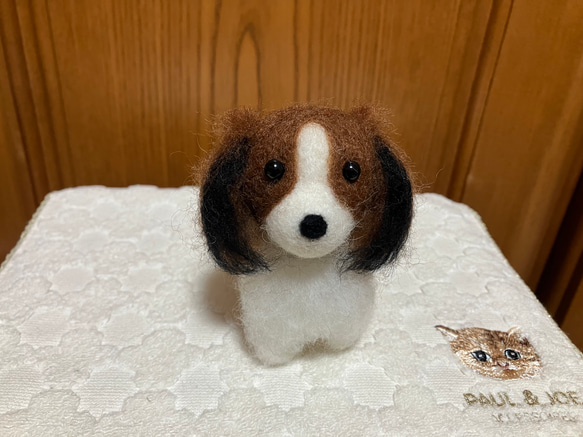 羊毛フェルト コーイケルホンディエホンディエ 羊毛フェルト犬 羊毛