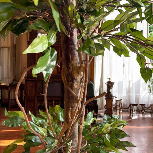 光触媒　人工観葉植物　ウォールグリーン　フェイクグリーン　ベンジャミンフィカスg 光触媒 人工観葉植物 ウォールグリーン フェイクグリーン ベンジャミン