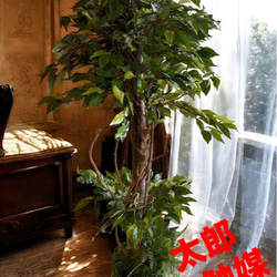 光触媒　人工観葉植物　ウォールグリーン　フェイクグリーン　ベンジャミン16016 光触媒 人工観葉植物 ウォールグリーン フェイクグリーン ベンジャミン