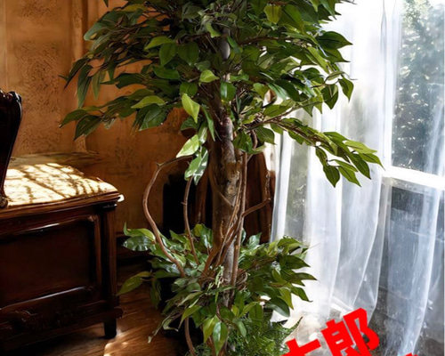 光触媒　人工観葉植物　ウォールグリーン　フェイクグリーン　ベンジャミン160 sky162009_1.jpg