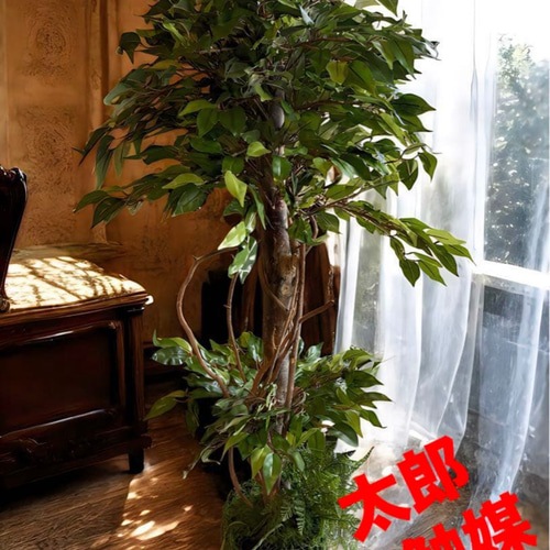 光触媒 人工観葉植物 ウォールグリーン フェイクグリーン ベンジャミン