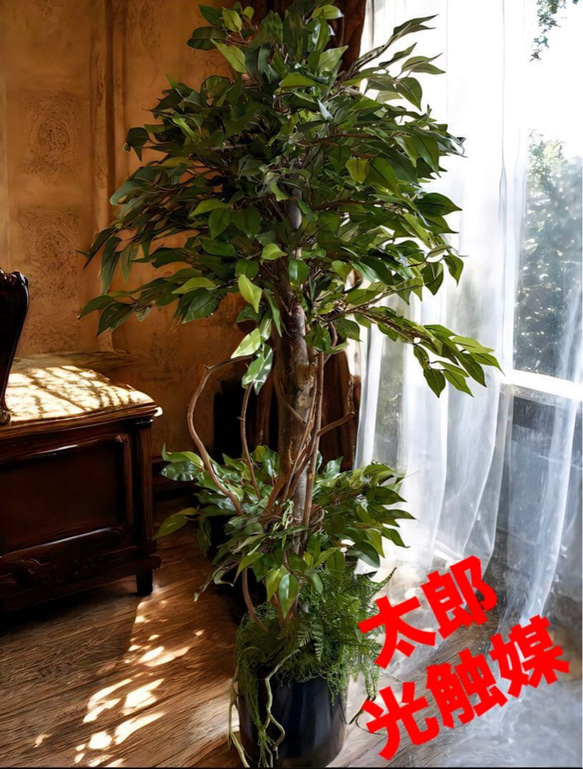 光触媒 人工観葉植物 ウォールグリーン フェイクグリーン ベンジャミン