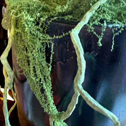 光触媒　人工観葉植物　ウォールグリーン　フェイクグリーン　ベンジャミン230 光触媒 人工観葉植物 ウォールグリーン フェイクグリーン ベンジャミン