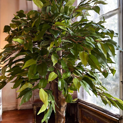 光触媒　人工観葉植物　ウォールグリーン　フェイクグリーン　ベンジャミン1.8jg 光触媒 人工観葉植物 ウォールグリーン フェイクグリーン ベンジャミン