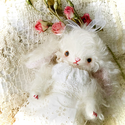 テディキャット シャイで可愛いふわふわ猫ちゃん テディベア