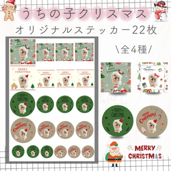 カタカムナ1～8首合一透明PETシール 30枚セット Amazon.co.jp: Khers カタカムナ グッズ カタカムナシール 5首6首7首