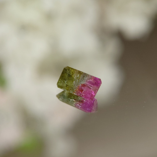 バイカラートルマリン 1.34ct ⭐2690 天然石 べるふぇKIRABOSHI希少石