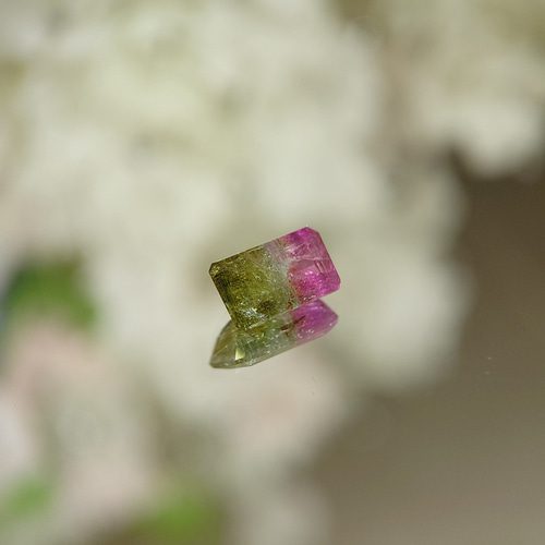 バイカラートルマリン 1.34ct ⭐2690 天然石 べるふぇKIRABOSHI希少石