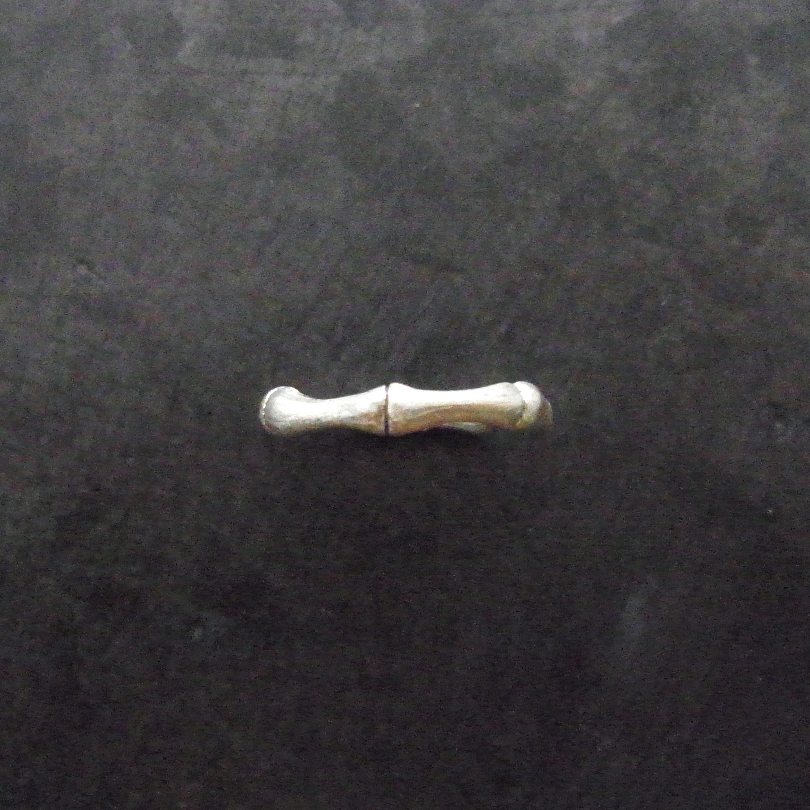 ホネタケリング / SV925