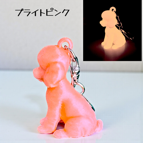 トイプードル mini3D蓄光（夜光）キーホルダー カラー5種類 蓄光樹脂