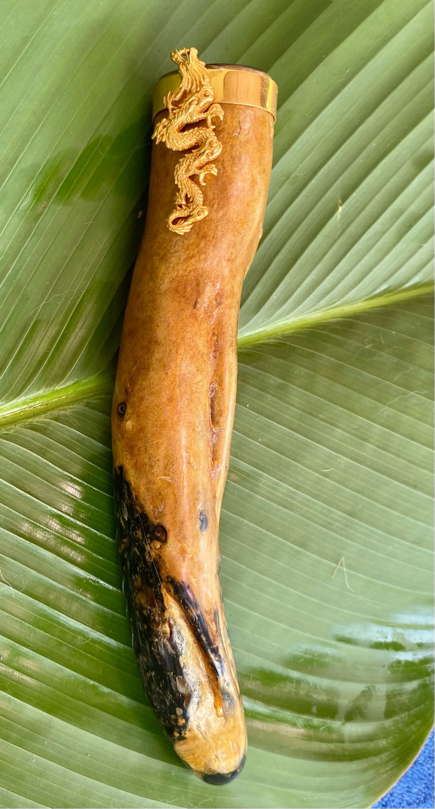 【インドネシア産ゴールドウリ】龍神★オブジェ 18,720円