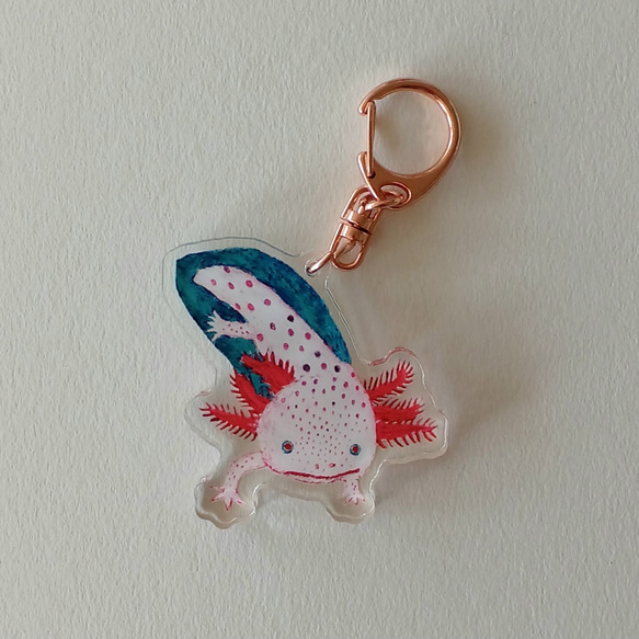ウーパールーパーのアクリルキーホルダー/厚手 オリジナル