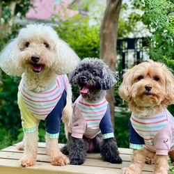 ギャザースモック＊犬服ハンドメイド＊SS〜L＊techichi ペット服