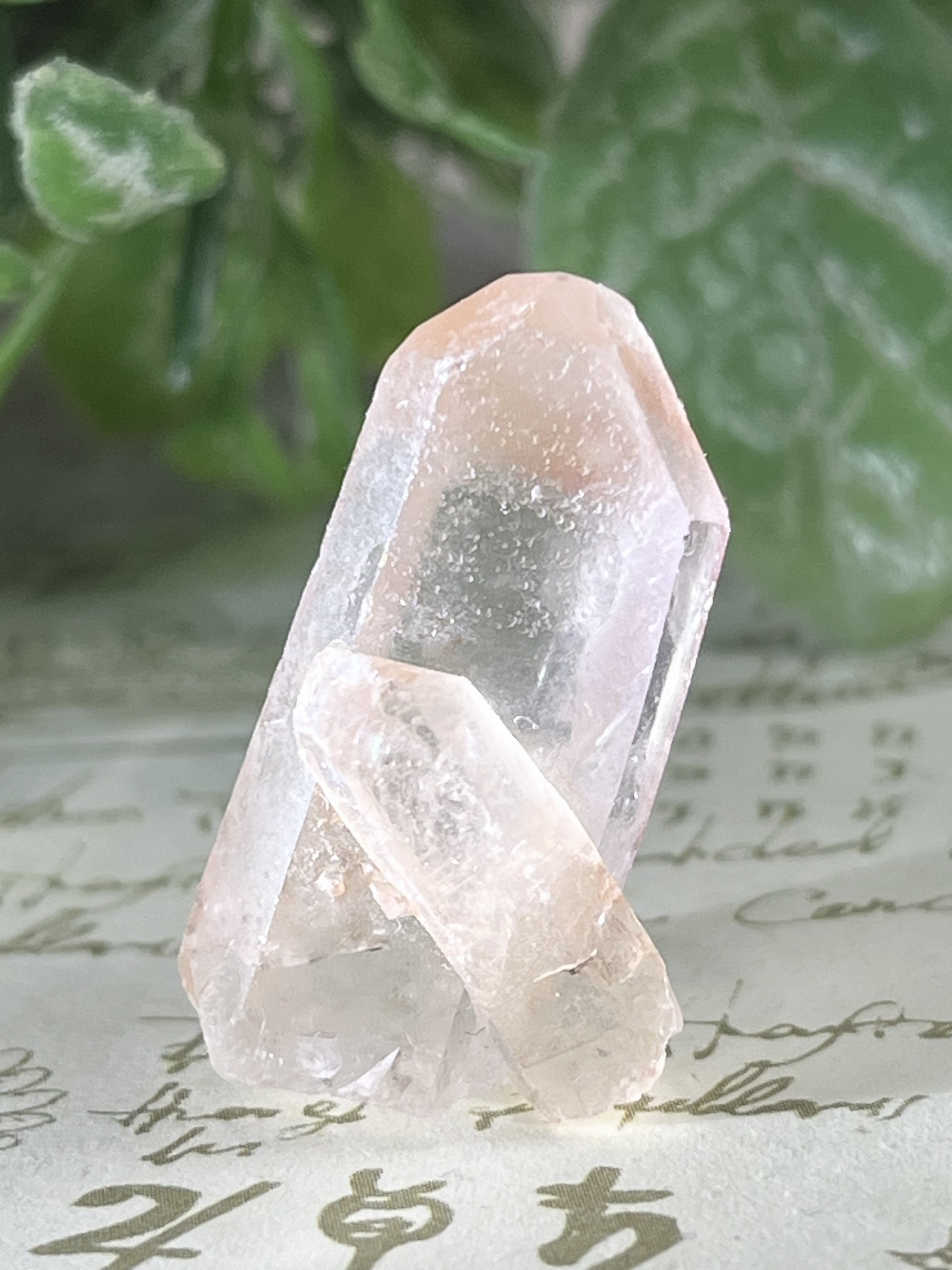 カーブド　曲がり水晶　子持ち　ピンク　レムリアンシードクリスタル　原石