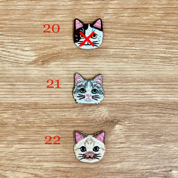 Ｘ'masのビジューといちごの猫さん刺繍のピアスandイヤリング ♡ 9枚目の画像
