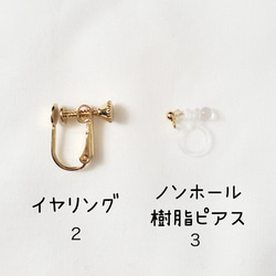 Ｘ'masのビジューといちごの猫さん刺繍のピアスandイヤリング ♡ 7枚目の画像