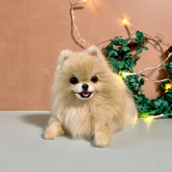 羊毛 伏せをする にこにこポメラニアン 送料無料 クリーム 羊毛