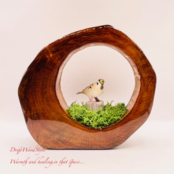 流木インテリア 芸術的に伸びる木の根が美しい流木 スタンド 植物や