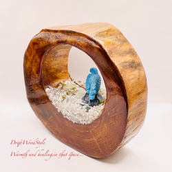 一つ限りの流木アート 水辺のカワセミ ジオラマ 流木 フィギュア 置物 動物 鳥 インテリア レジン 水辺 N43 8枚目の画像