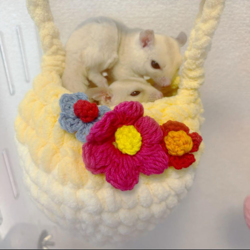 専用ページ♡もこもこモモンガポーチ モモンガ♡手編み♡もこもこポーチ♡2匹用♡ゆったりサイズ ハウス