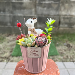 受注制作】☆送料無料☆♡そのまま飾れる♡バスケット♬多肉植物寄せ