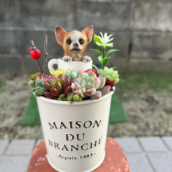 受注制作】☆送料無料☆♡そのまま飾れる♡バスケット♬多肉植物寄せ