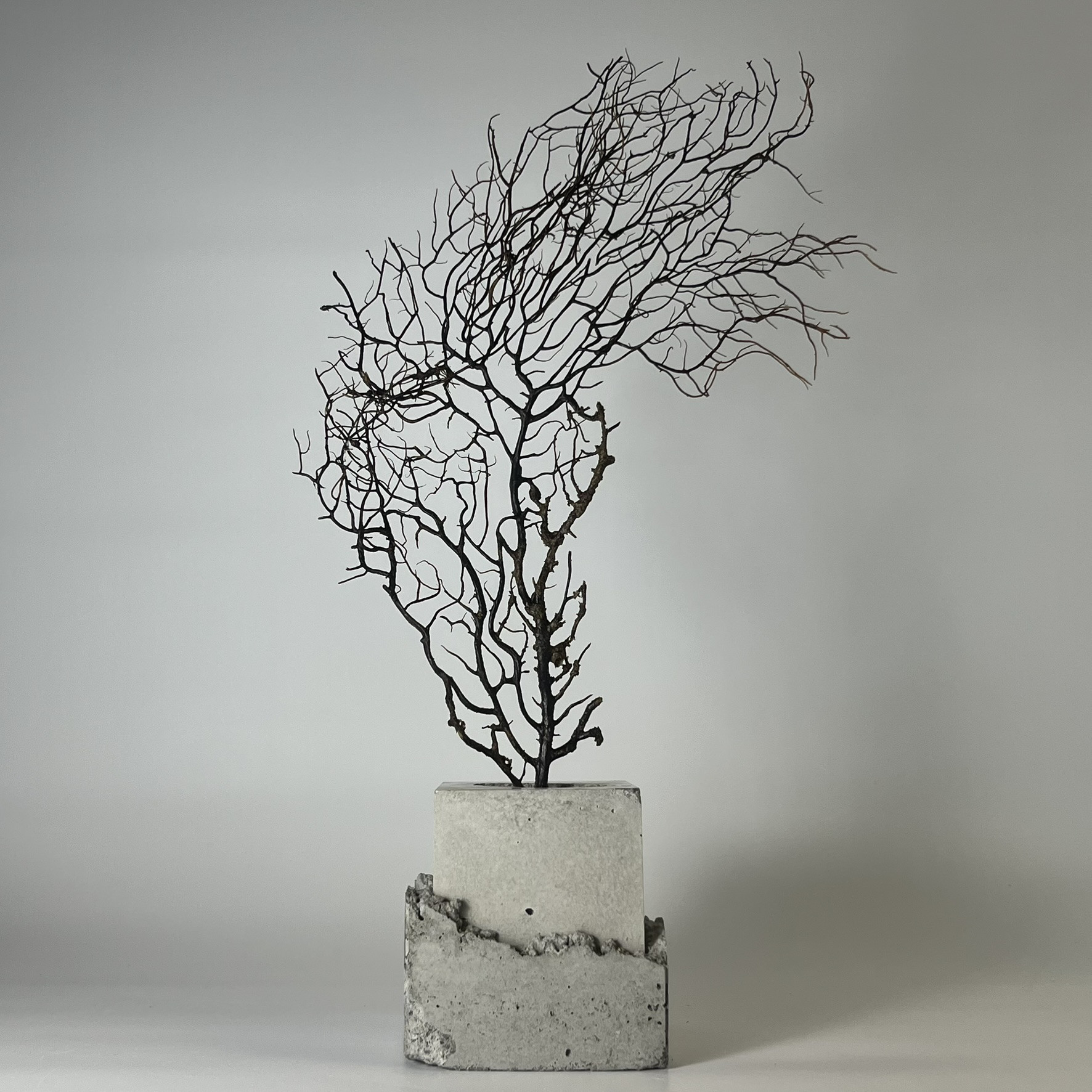 石と木のアート【送料無料】mu-21