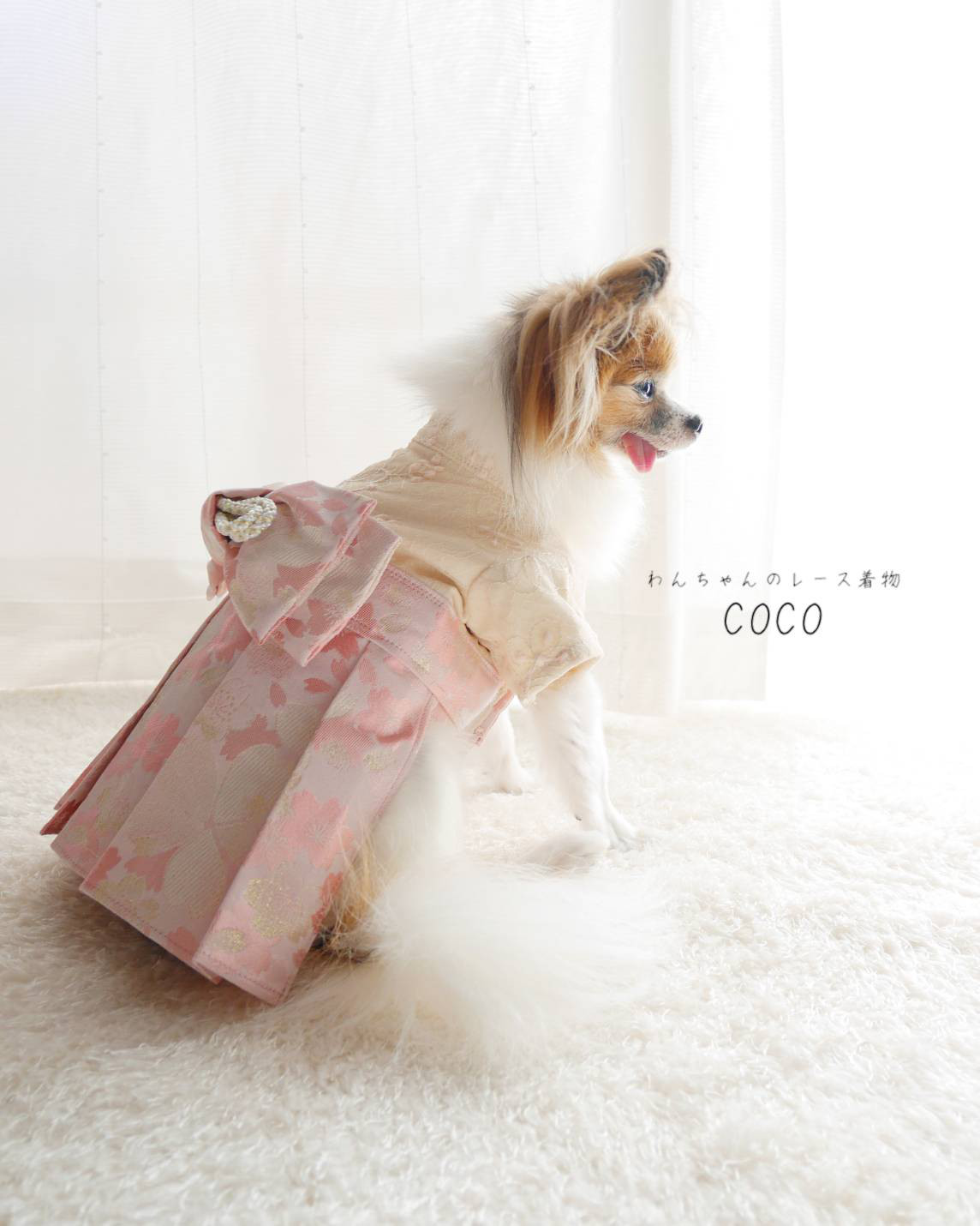 【犬服袴】繊細にきらめく可憐なお花/金襴砂子桜  レース着物 袴 ＊ライトベージュ×ベージュ＊