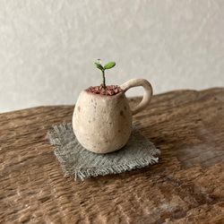 9937.bud 粘土の鉢植え マグカップ 4枚目の画像