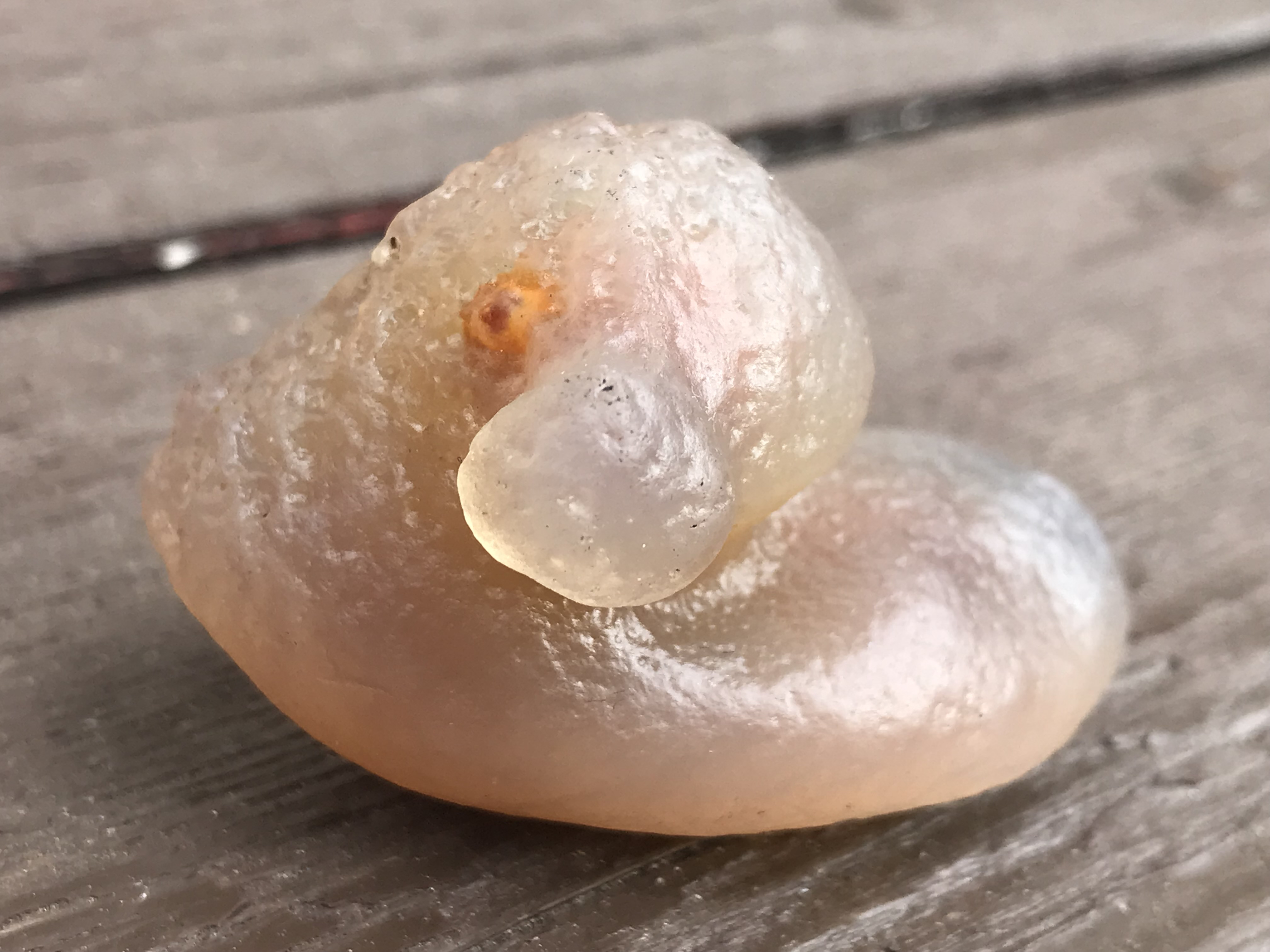 ゴビ石−1427 ゴビ瑪瑙　原石『アヒル』