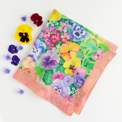 多肉植物 コノフィツム ブルゲリSH409 大玉 1.5cm以上 抜き苗 1株 多肉