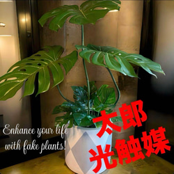 光触媒 人工観葉植物 ウォールグリーン フェイクグリーン アーバン