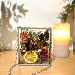 カードフレーム型ブリキ乗せる多肉植物寄せ植え 多肉植物 Green＋Lab