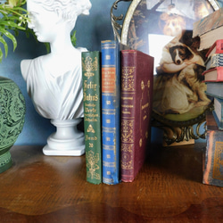 1895年 表紙が素敵なドイツの詩集 古書 ヴィンテージ本 アンティーク