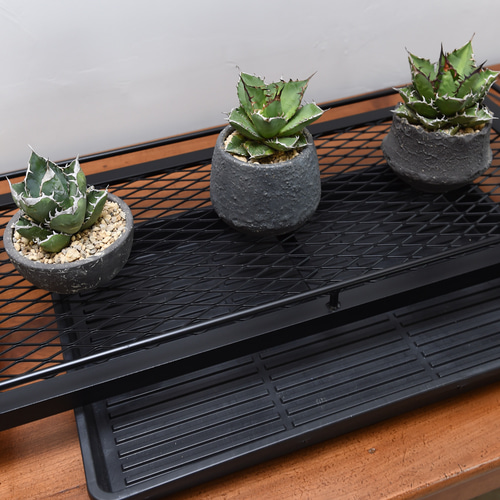 ライティングレール付き植物棚 ｜ボタニカルラック ダクトレール