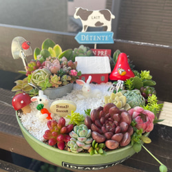 ❤️多肉植物❤️そのまま飾れる寄せ植え❤️ぬいぐるみ抱っこうさぎちゃん❤️ ❤️多肉植物❤️そのまま飾れる寄せ植え❤️ぬいぐるみ抱っこうさぎ
