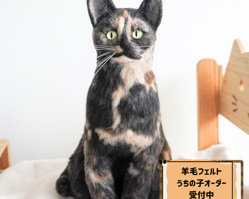 あなたの猫ちゃんを羊毛フェルトでカタチに 羊毛フェルト すぱいらる
